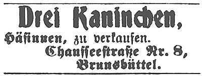 Datei:1917-03-24 577a Drei Kaninchen.jpg