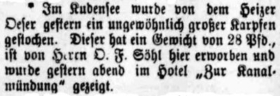 Datei:1914.05.19-Karpfen von 28 Pfund.jpg