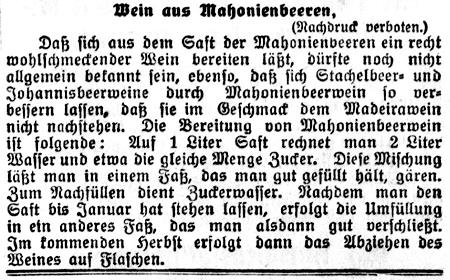 Datei:12 1916.12.09-Mahonienbeeren.jpg