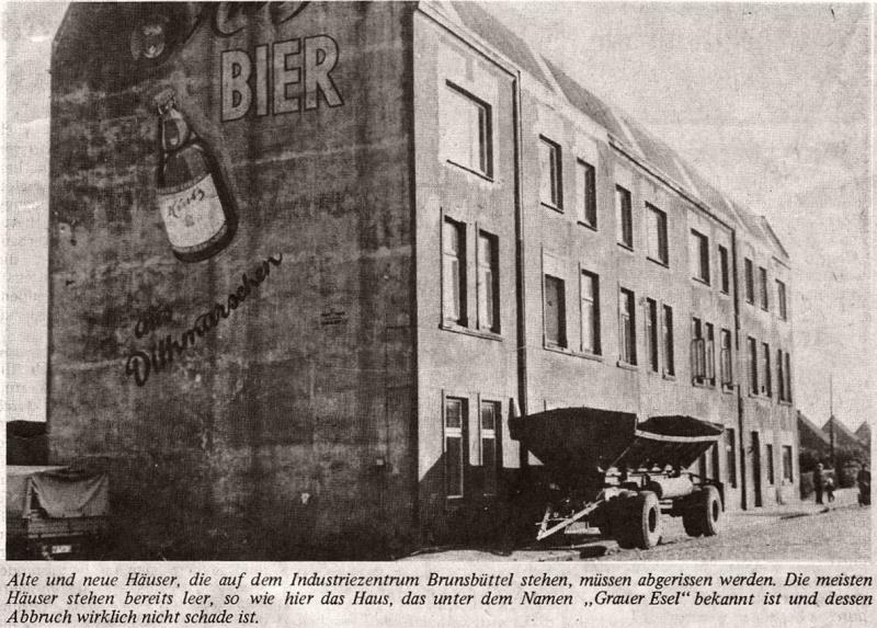 Datei:Grauer Esel 1-BS.jpg