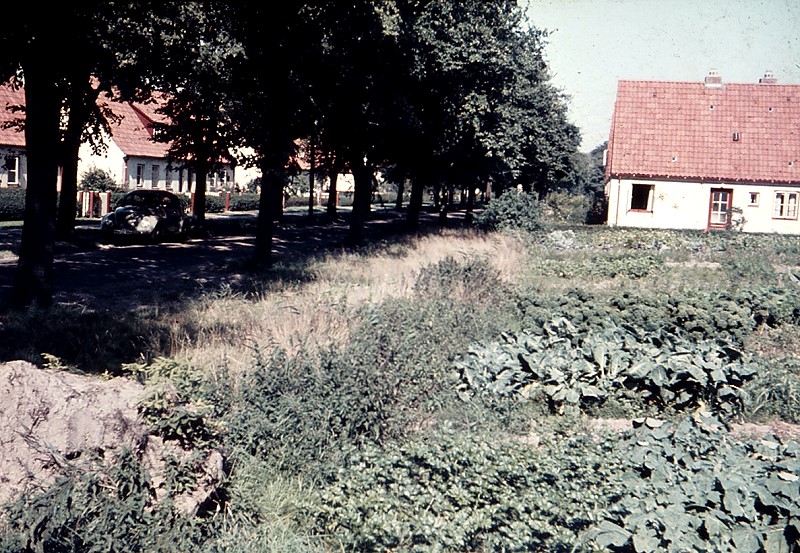 Datei:Am Bosselkamp-BS.jpg