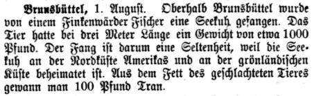 Datei:06 1916.08.03-Seekuh gefangen.jpg