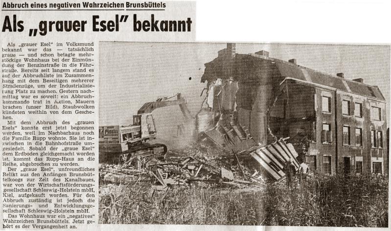 Datei:Grauer Esel 2-BS.jpg