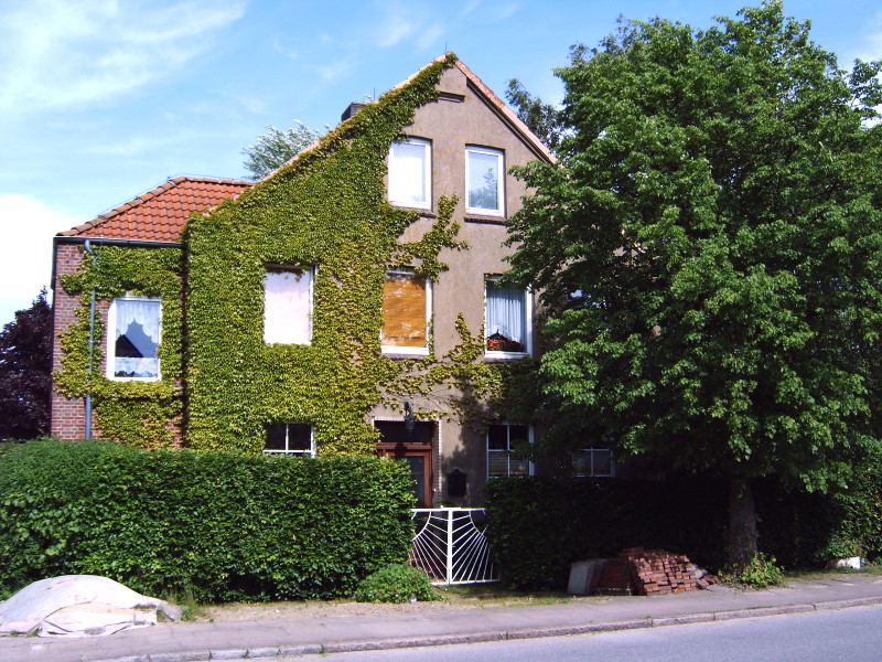 Datei:(UB) Ochsenmarkt 14 - 05-05-26 - 01.jpg