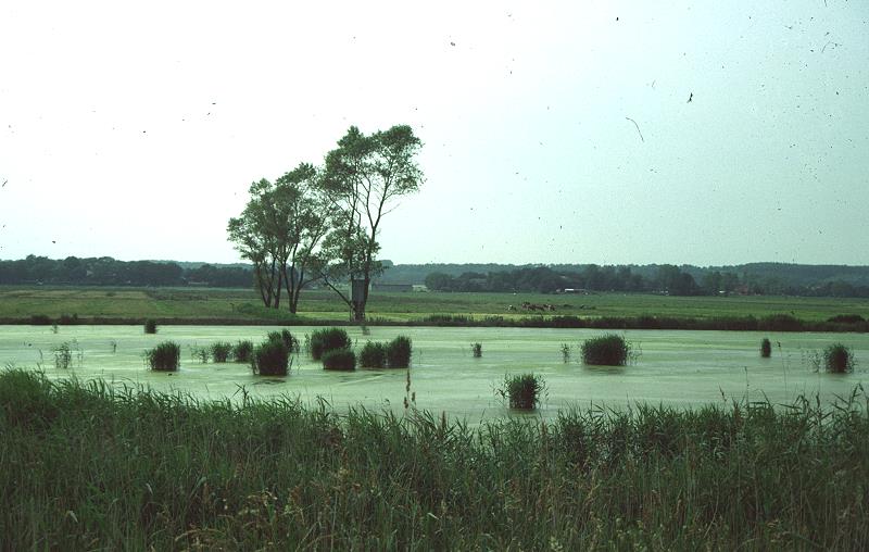 Datei:Zw.K.see u.Burg Nord-1984-2.jpg