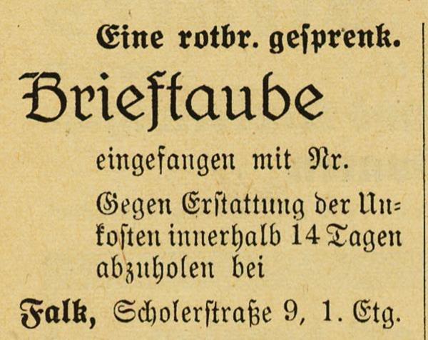 Datei:Brieftaube-1946.10.11.jpg