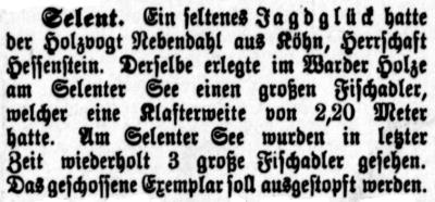 Datei:1896.02.06-Fischadler geschossen.jpg