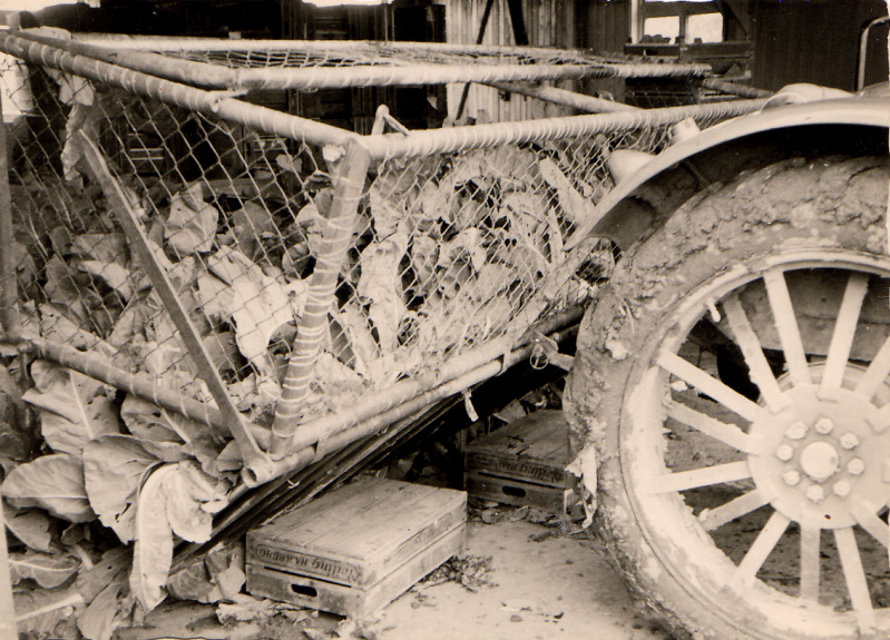 Datei:062 Gaertnerei Messtorff (GM).jpg