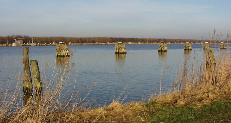 Datei:Weiche Kudensee.jpg