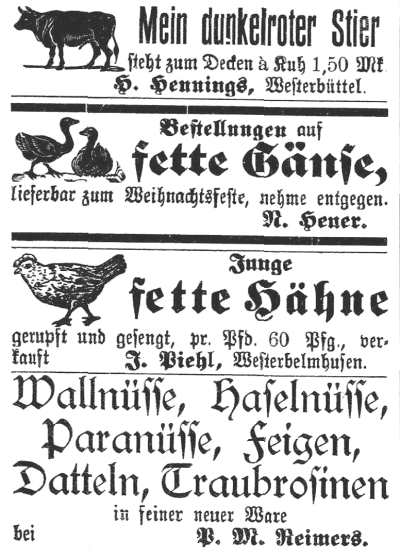 Datei:1897-12-16 398a Dunkelroter Stier.jpg