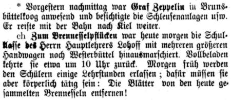 Datei:35 1916.08.31-Brennesseln pflücken.jpg