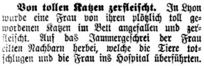 Datei:1891.07.23-Von Katzen zerfleischt.jpg