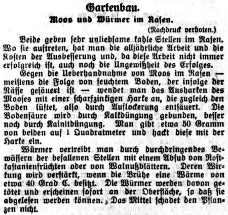 Datei:38 1916.05.30-Moos und Würmer im Rasen.jpg