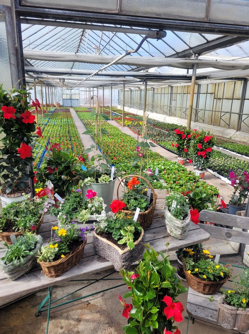 Treibhaus in Averlak