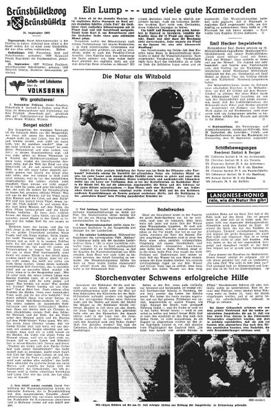 Datei:1960-09-24 151 Storch.jpg