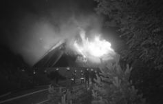 Smlg Paschen 1003.jpg