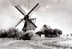 Mühle Carlow Mühlenstraßen.jpg