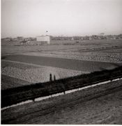 028-Kontor und Benzinsiedlung.jpg