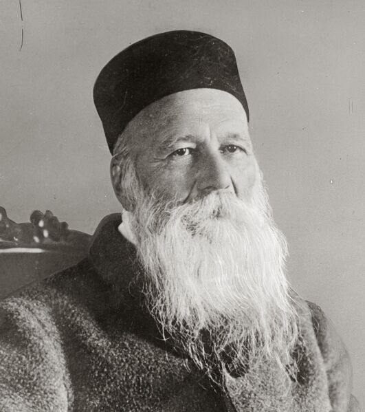 Datei:1895-Jean Henri Dunant.jpg