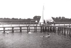 Badeanstalt AlterHafen-1930.07.06-1.jpg