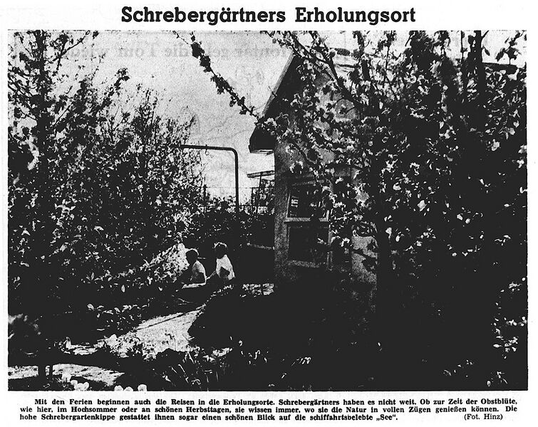 Datei:1959-07-11 406 Schrebergarten.jpg